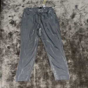 Banana and Republic Metallic  pants
